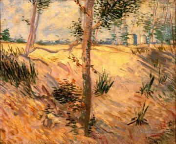 Vincent Van Gogh Painting - Árboles en un campo en un día soleado Vincent van Gogh